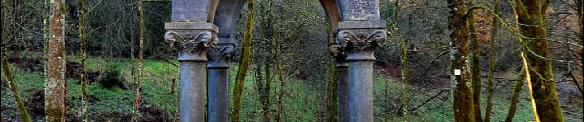 Punto di interesse Bièvre - La fontaine miraculeuse de Saint-Furcy - Photo