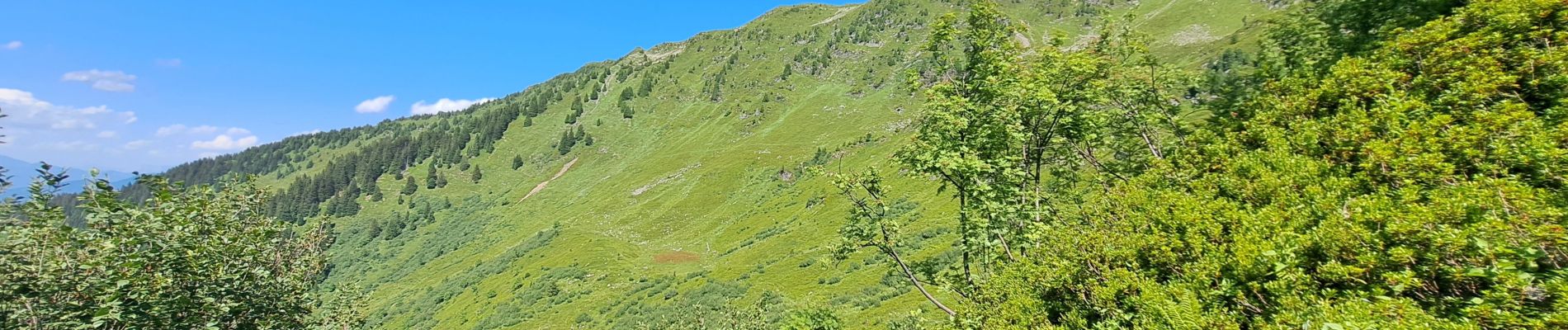 Trail Walking Monthion - traverser du col de la dent du corbeau en par le col de la grande Lanche  - Photo