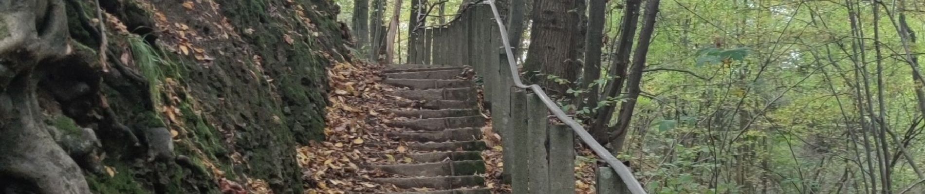 Tour Wandern Aubel - A la découverte de Val Dieu  - Photo