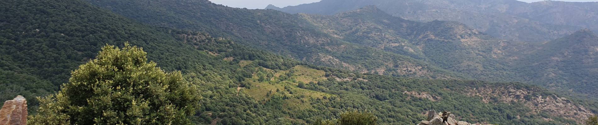 Tour Wandern Banyuls-sur-Mer - PuigSallfort_T - Photo