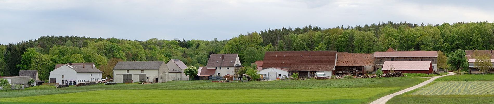 Tocht Te voet Großenseebach - Seebachgrund-Wanderweg - Photo