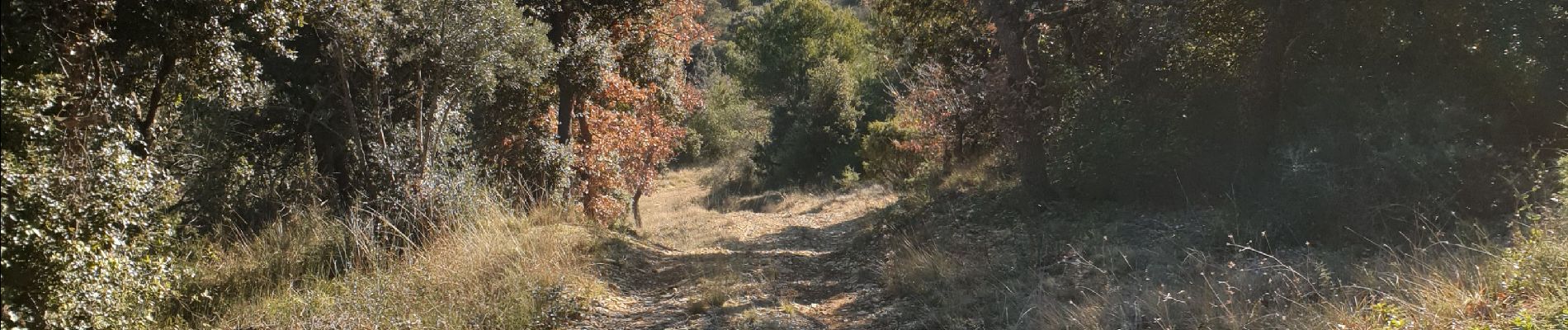 Randonnée Marche Manosque - La Tour du Mont d'Or  - Photo