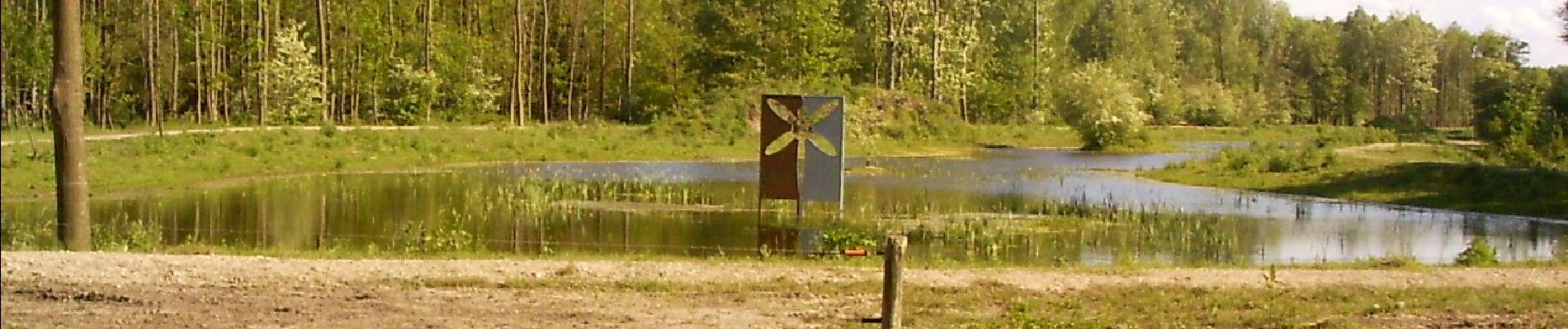 Tour Zu Fuß Zeewolde - De Wielewaal - Photo