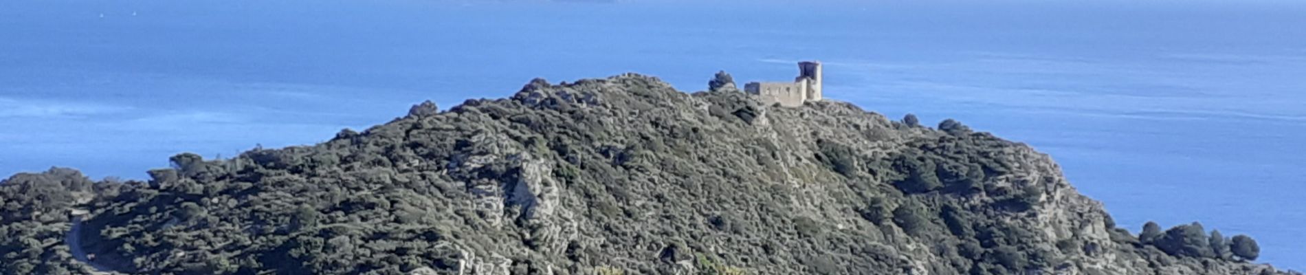 Excursión Senderismo Six-Fours-les-Plages - le brusc vers Notre-dame su mai - Photo