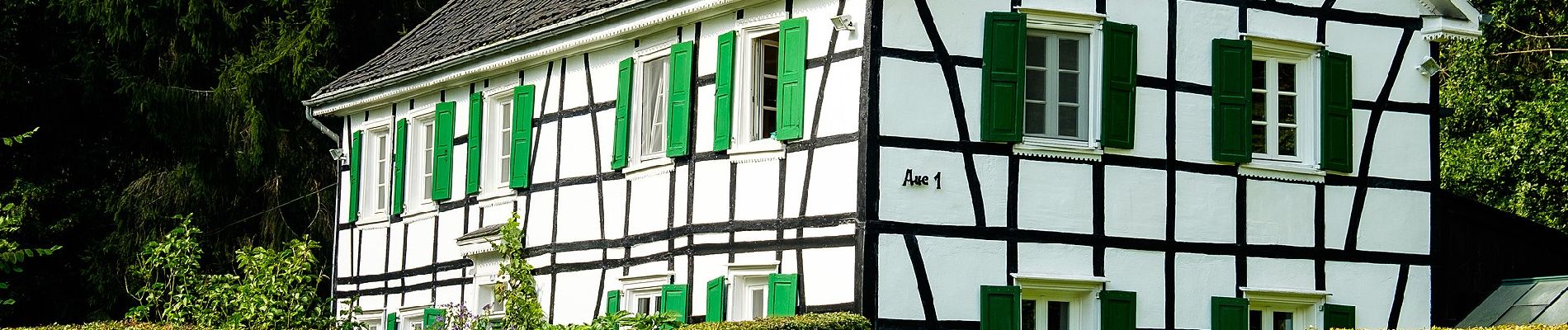 Tour Zu Fuß Odenthal - Altenberg Rundweg A8 - Photo