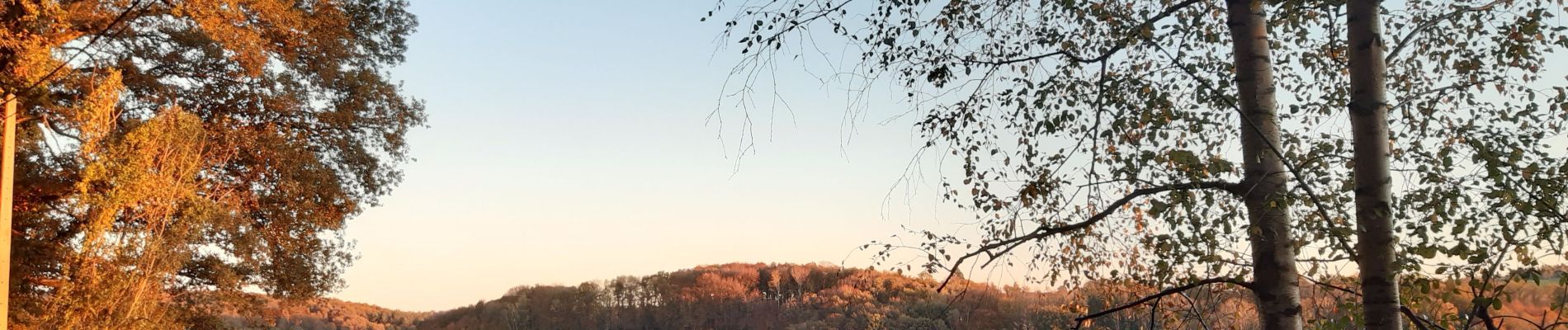 Randonnée Marche Esneux - tilff . bois des manants . ourthe  - Photo