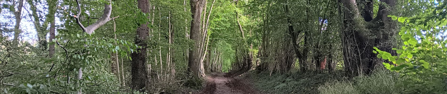 Randonnée Marche Sprimont - autour de dolembreux  - Photo