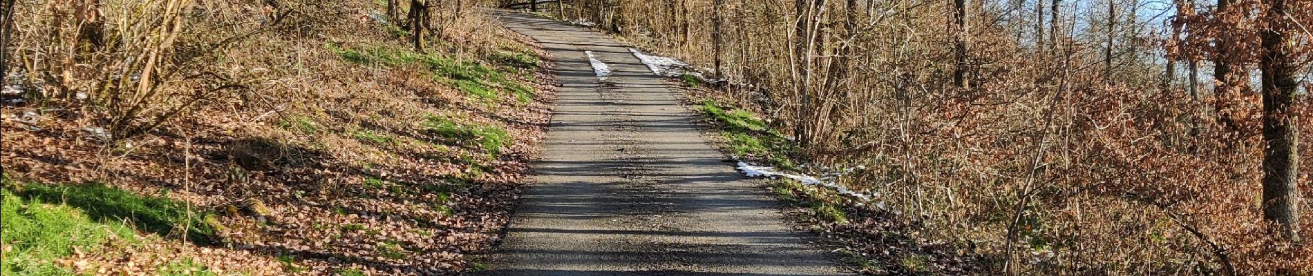 Randonnée Marche Hastière - Hastiere, Entre mont et vallée - Photo