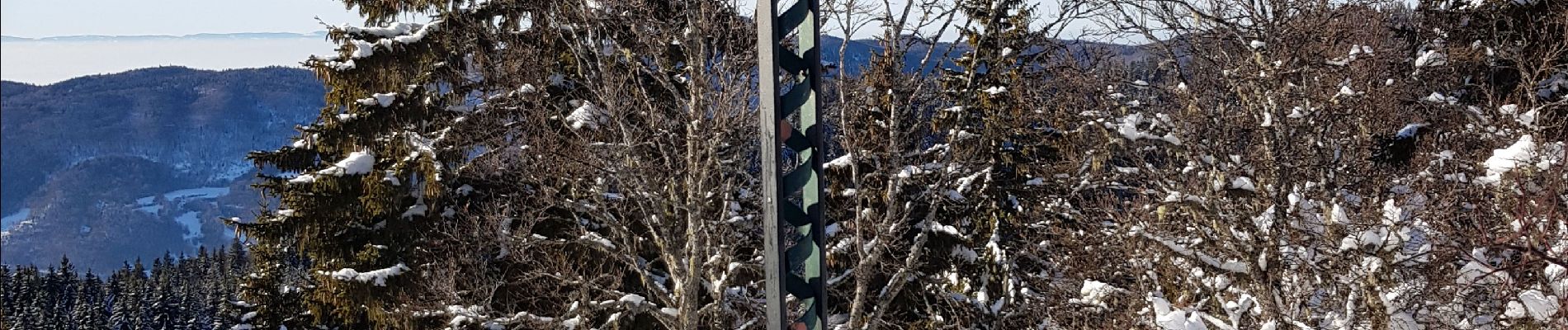 Tocht Sneeuwschoenen Autrans-Méaudre en Vercors - gros martel - Photo