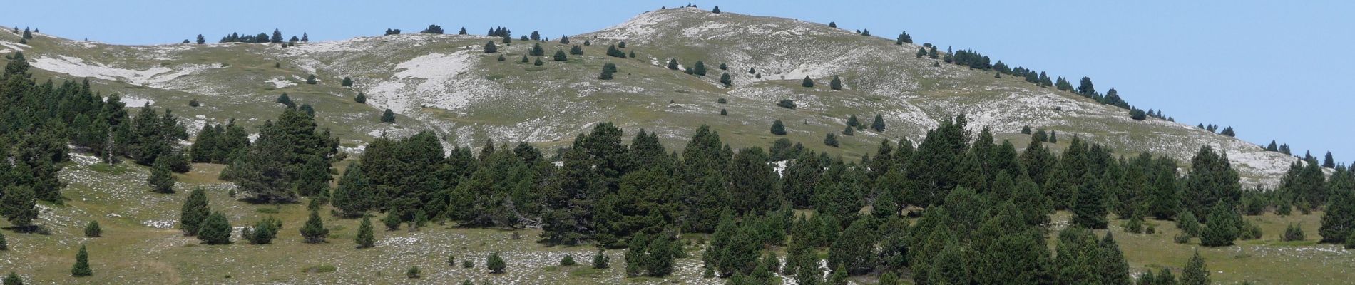 Trail Walking Châtillon-en-Diois - La Montagnette par le Pas de la Plane (Combau) - Photo