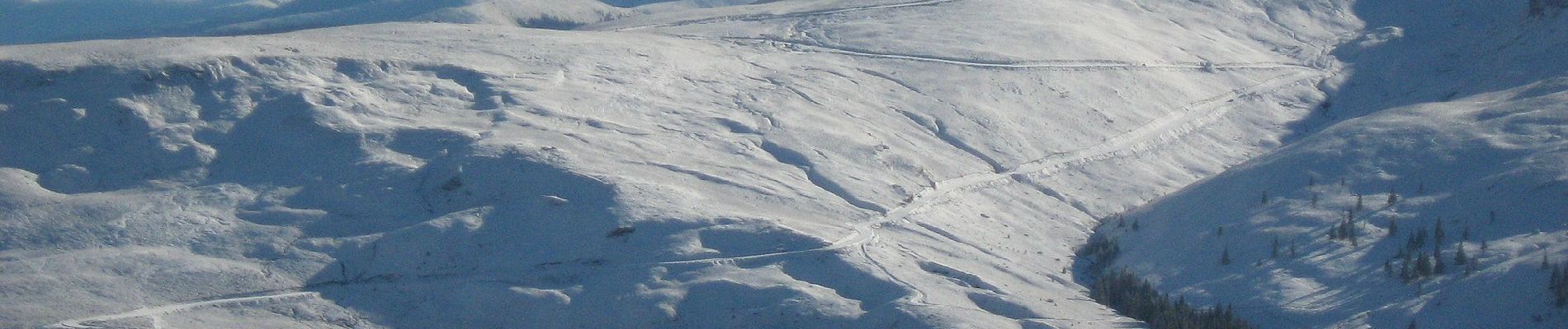 Excursión A pie Desconocido - Șaua Huluzul - Cabana Groapa Seaca - Photo