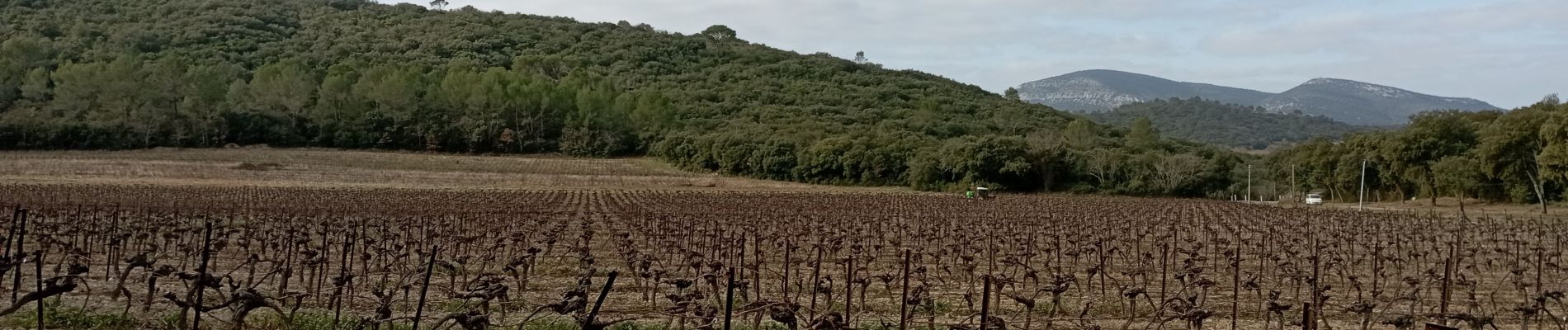 Excursión Senderismo Quissac - Quissac Bragassargues le 10 février 2022 - Photo