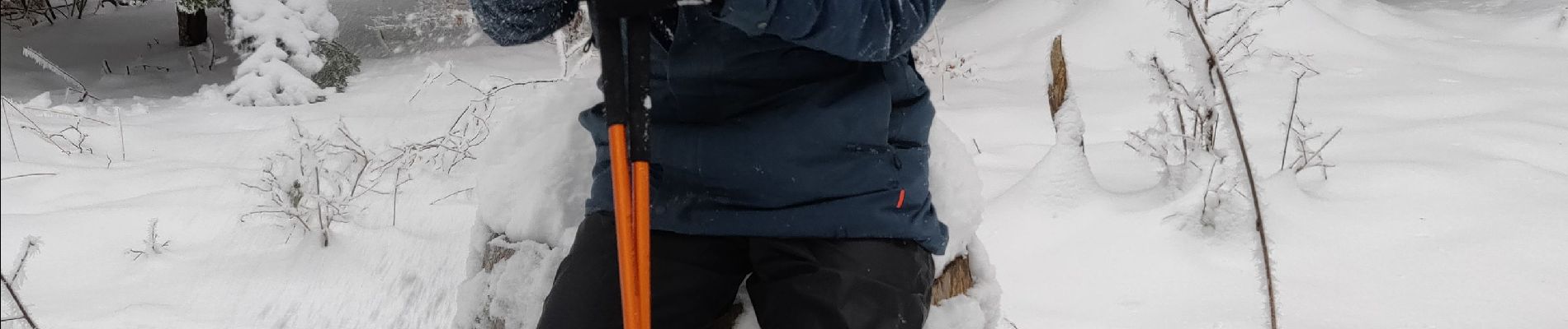 Percorso Racchette da neve Autrans-Méaudre en Vercors - Balade Gros Martel - Photo