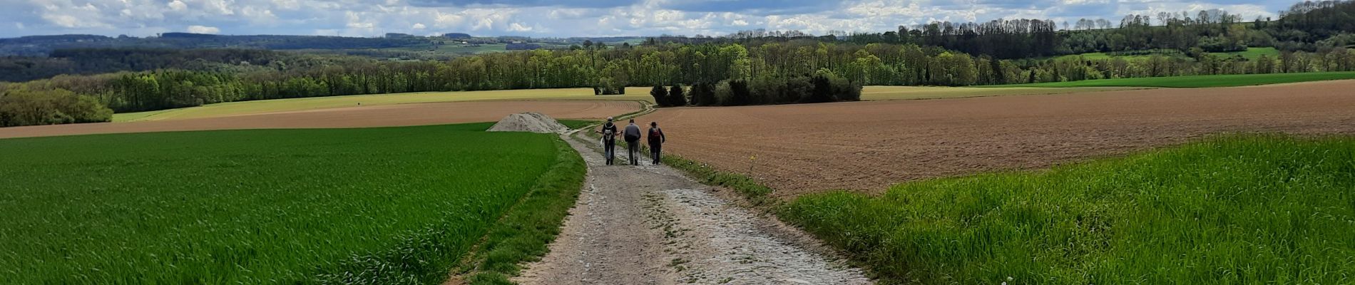 Percorso Marcia Anthisnes - Anthines - Comblain-au-Pont - Photo