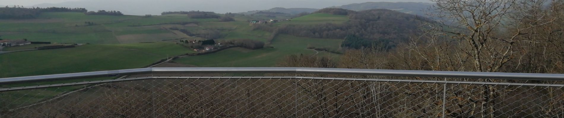 Tour Wandern Saint-André-la-Côte - 69-St-andre-la-cote-Ste-catherine-14km-453m - Photo