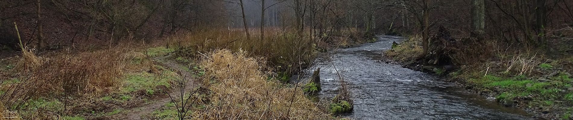 Randonnée A pied Čisovice - [M] Bojanovice-Slapy - Photo