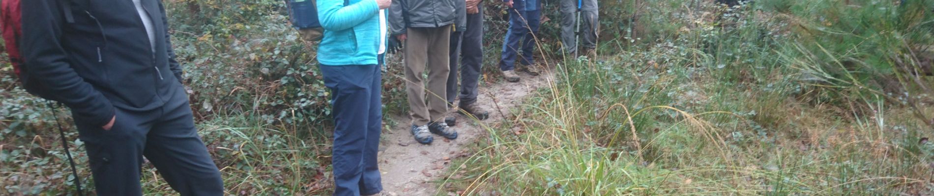 Tocht Stappen Fontainebleau - 26 octobre 2021 cabaret masson  - Photo