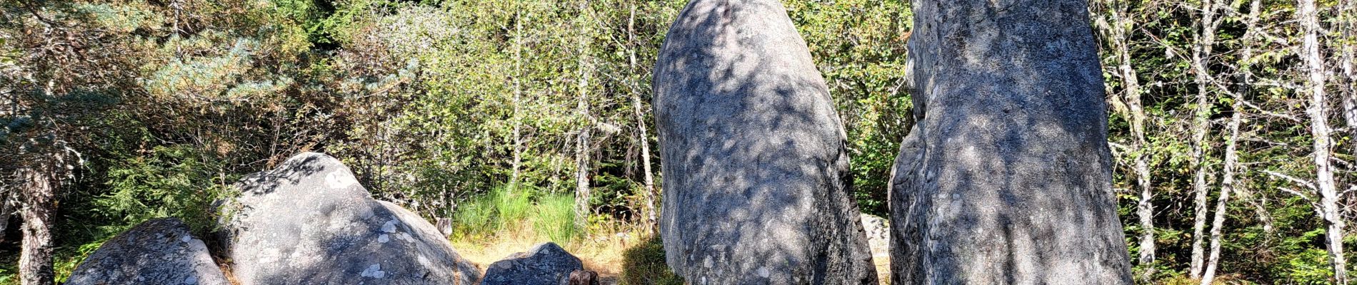 Tour Wandern Fournols - AUVERGNE 2023 Fournols - Les 2 frères  - Photo