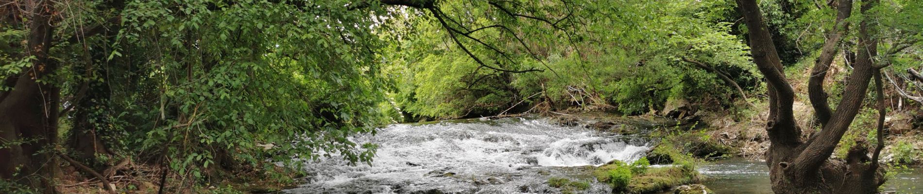 Trail Walking Besse-sur-Issole - Boucle entre Besse et Ste Anastasie sur Issole - Photo