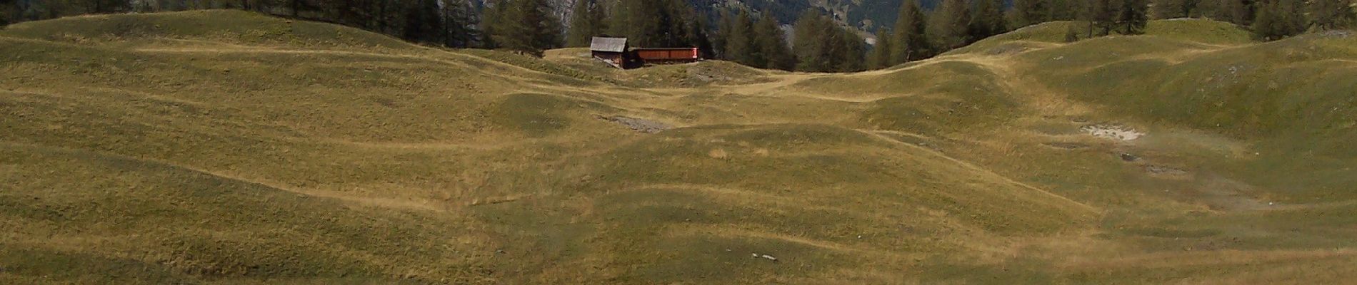 Percorso A piedi Santo Stefano di Tinia - Cime de la Bercha - Photo