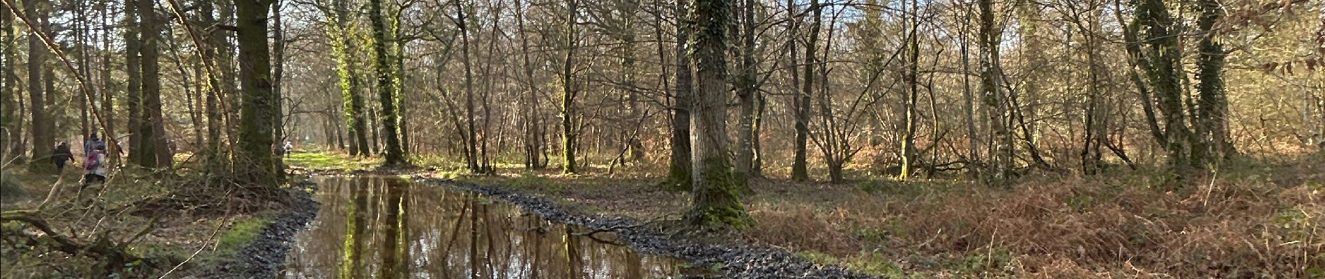 Randonnée Marche Cerisy-la-Forêt - Cerisy la Forêt  - Photo