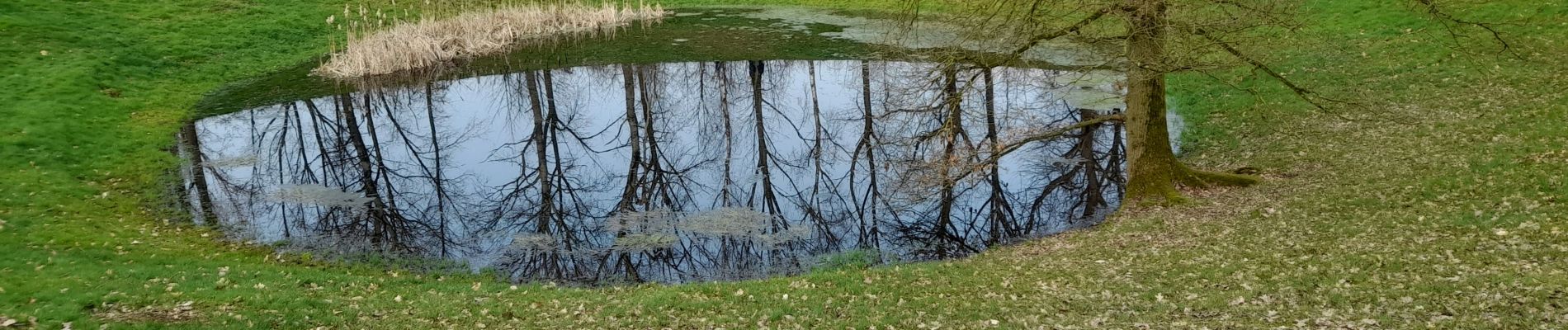 Percorso Marcia Ieper - Palingbeek courte 8,4 - Photo