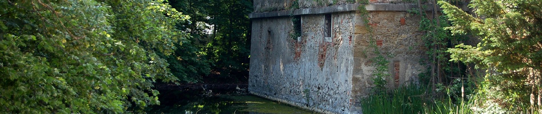 Excursión A pie Kottingbrunn - Laufend geniessen (Höllrigl Kottingbrunn) - Photo