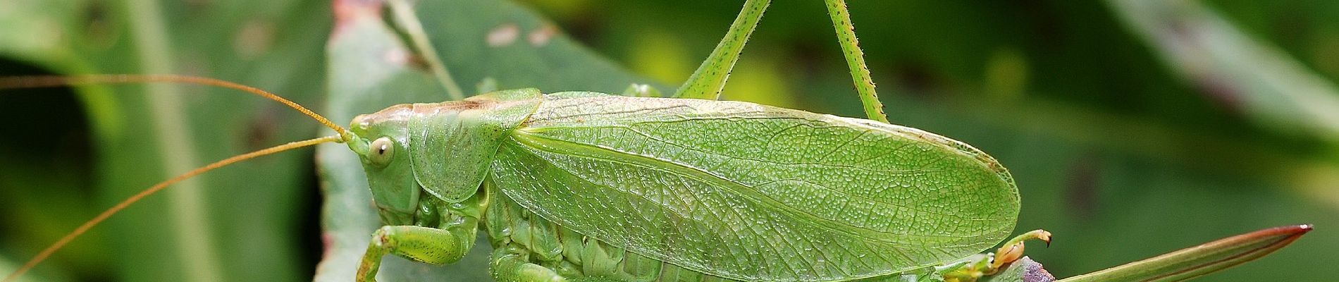 Trail On foot Chiny - 35. Fond de la Moye - Photo