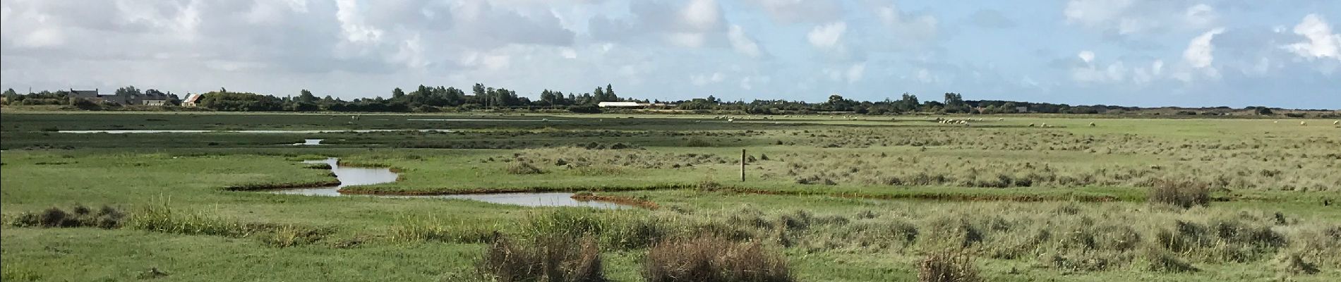 Randonnée Marche Bretteville-sur-Ay - 2019 août Normandie mercredi matin - Photo