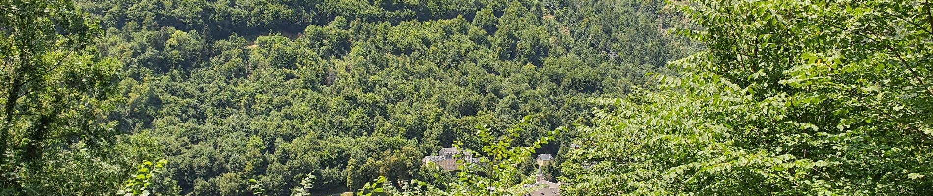 Tour Wandern Cauterets - Cauterets - La Fruitière - Photo