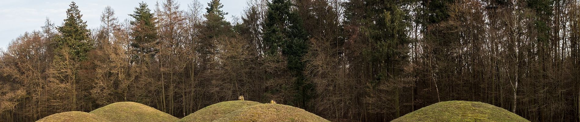 Tocht Te voet Strullendorf - Weg durch die Siedlungsgeschichte - Photo