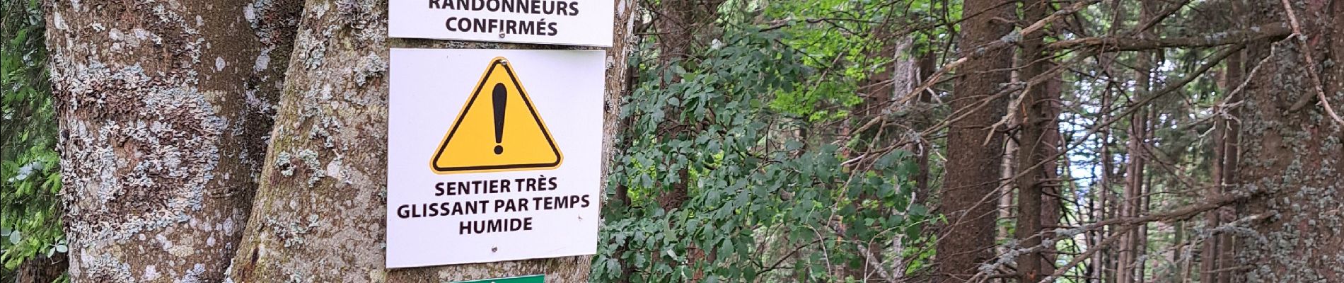 Tour Wandern Béon - Pierre chandruraz.  - Photo