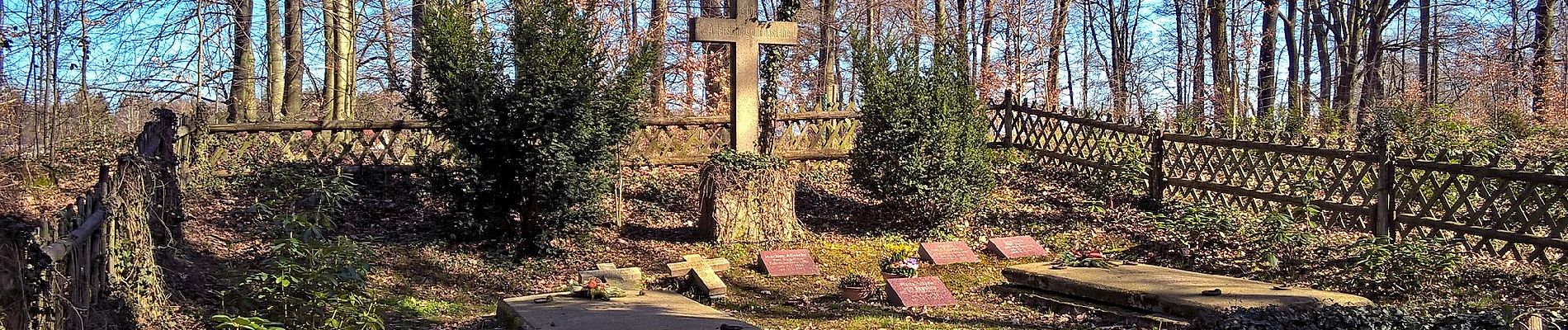 Percorso A piedi Quitzdorf am See - Kwětanecy - Rundweg Petershainer Teiche - Photo