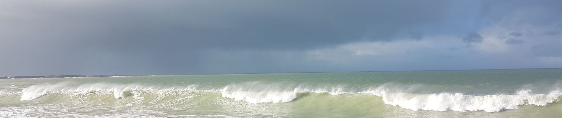 Trail Walking Saint-Georges-d'Oléron - gautrelle - Photo