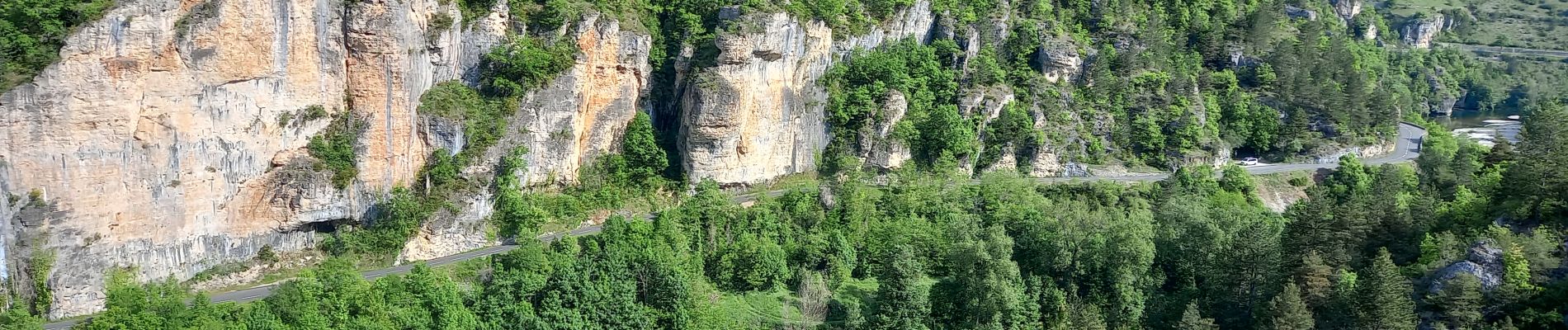 POI Gorges du Tarn Causses - point de vue  - Photo