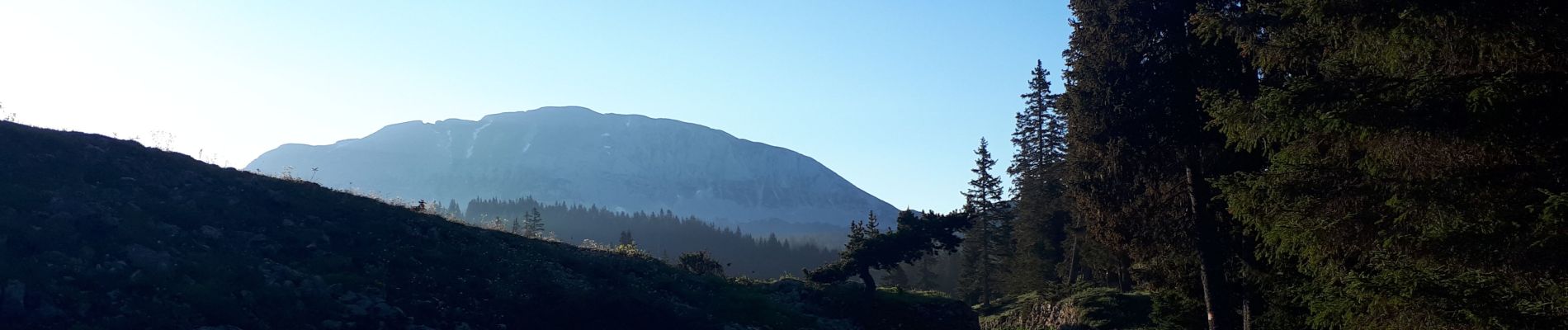 Trail Walking Saint-Agnan-en-Vercors - Grand Veymont - Photo