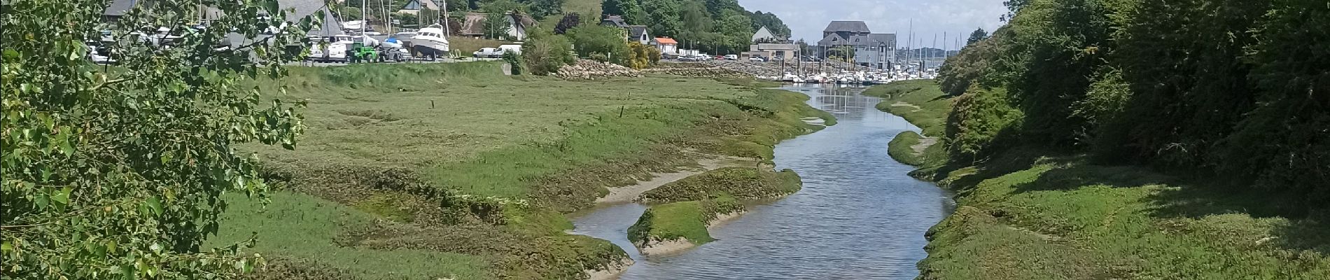 Tour Wandern Plouër-sur-Rance - bois rochel WE 2024 - Photo