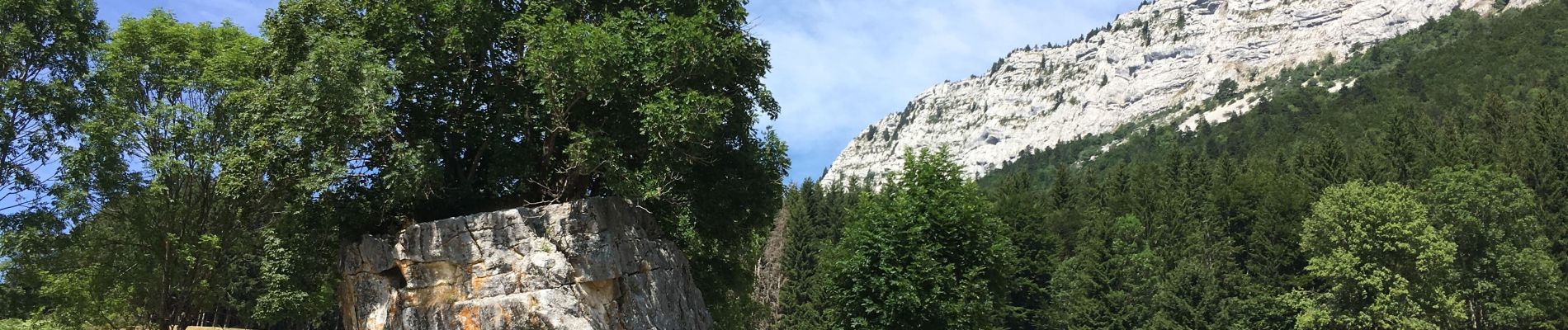 Tocht Stappen Rencurel - Rencurel col de Romeyère 23072019 - Photo