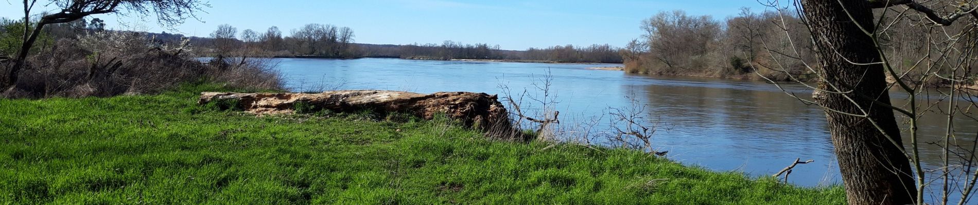 Tour Laufen Nevers - boucle guetin fouchambault - Photo