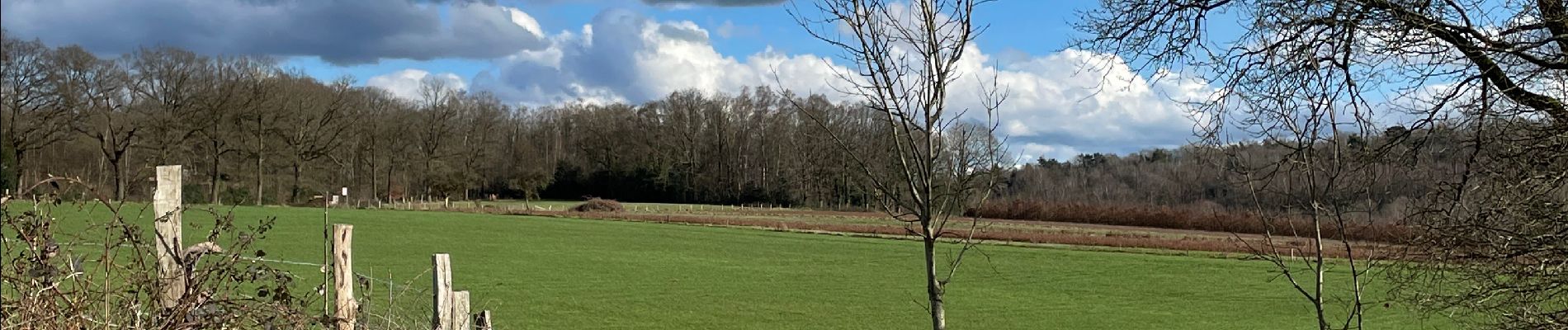 Excursión Senderismo Olne - Fenderie Noirfalise Fraipont Hansez - Photo