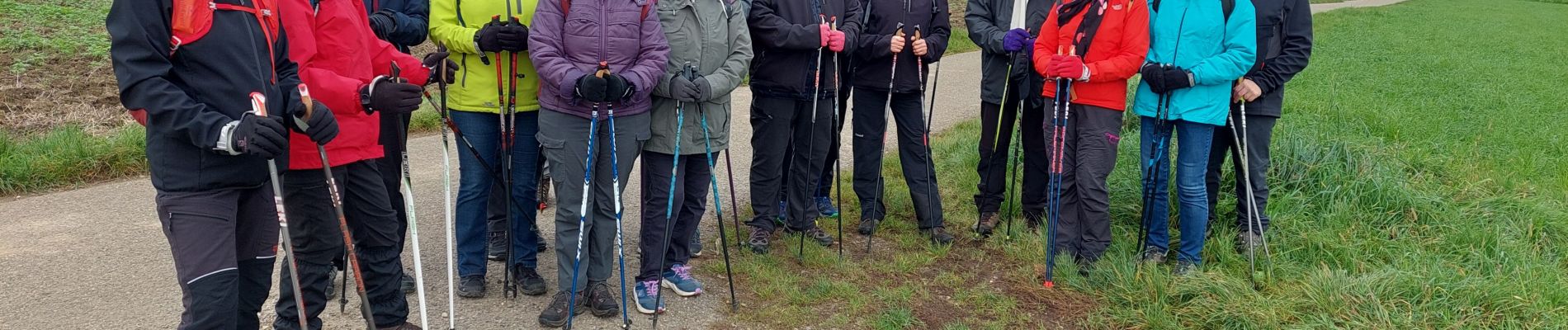 Trail Nordic walking Sundhoffen - 1411 - Photo