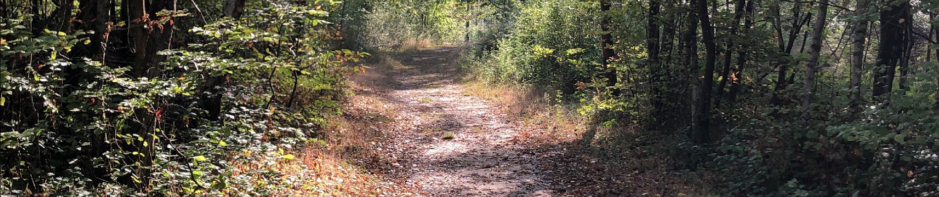 Tour Wandern Braine-le-Comte - Hen - Photo