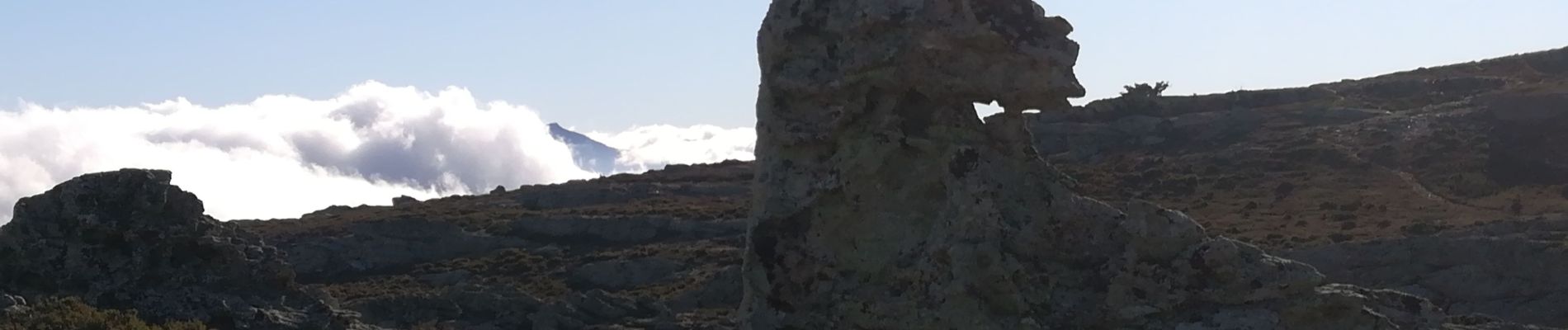 Randonnée Marche Pietralba - Regha di Pozzo depuis Pietralba - Photo