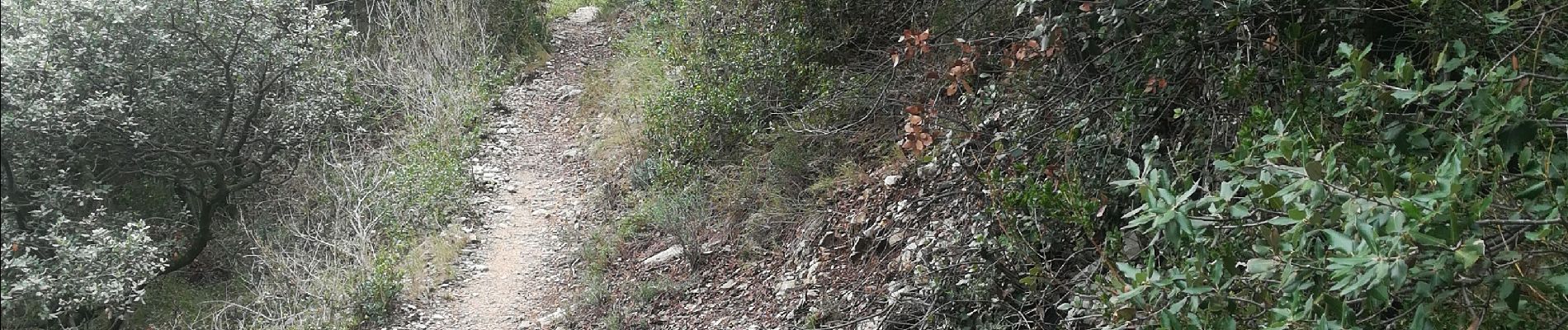 Excursión Senderismo La Roque-Alric - Rochers des Évêques  - Photo