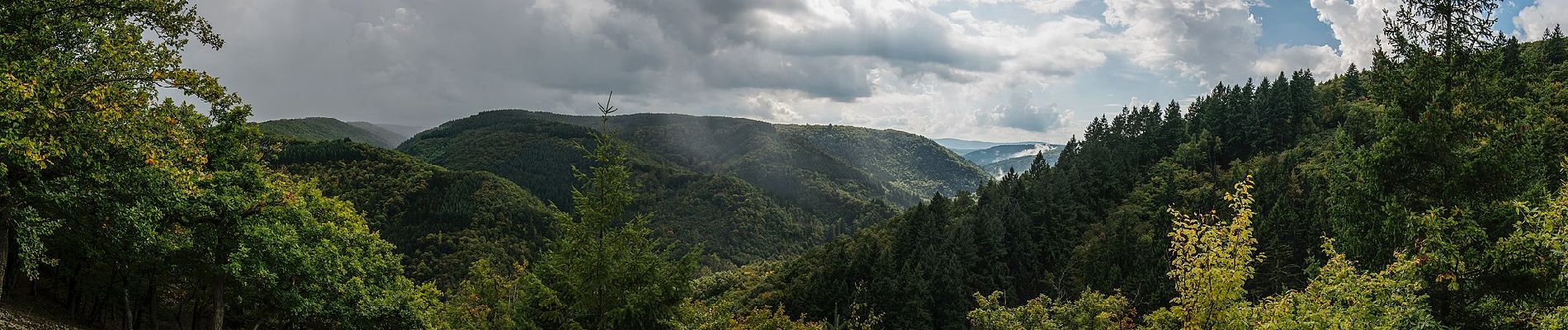 Tour Zu Fuß Lorch - Wispertalsteig - Photo