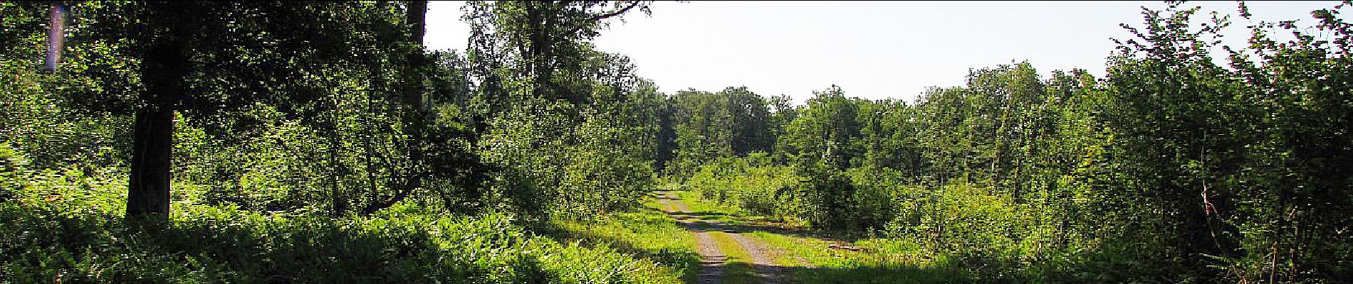 Point d'intérêt Villers-Cotterêts - Point 8 - Photo