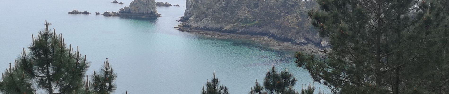 Randonnée Marche Crozon - L'ile vierge - Photo