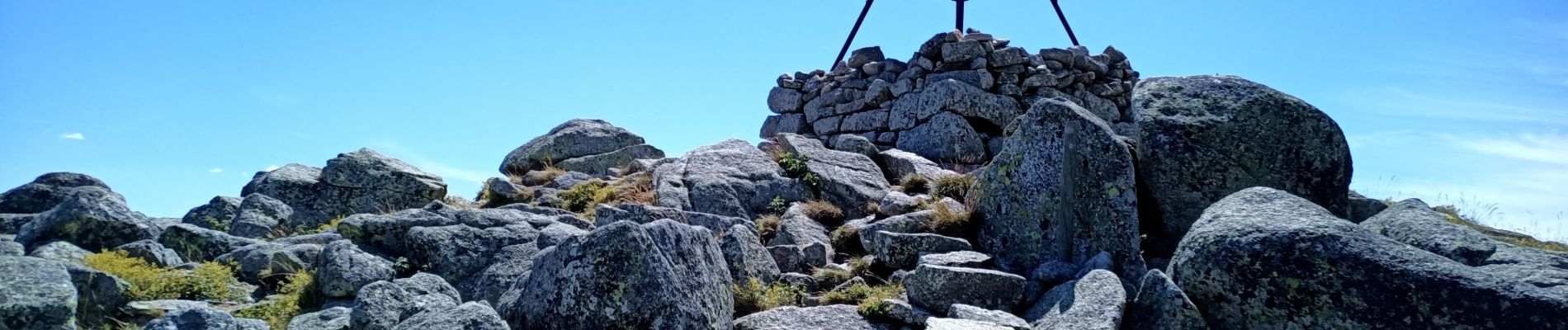 Tocht Stappen Vialas - Mont Lozère : Mas de la Barque - Photo