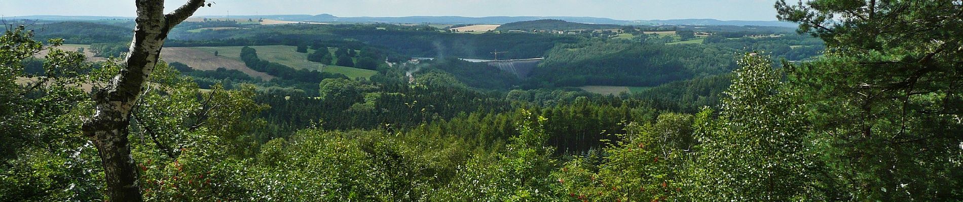 Randonnée A pied Bad Gottleuba-Berggießhübel - Gelber Punkt Bahratal - Photo