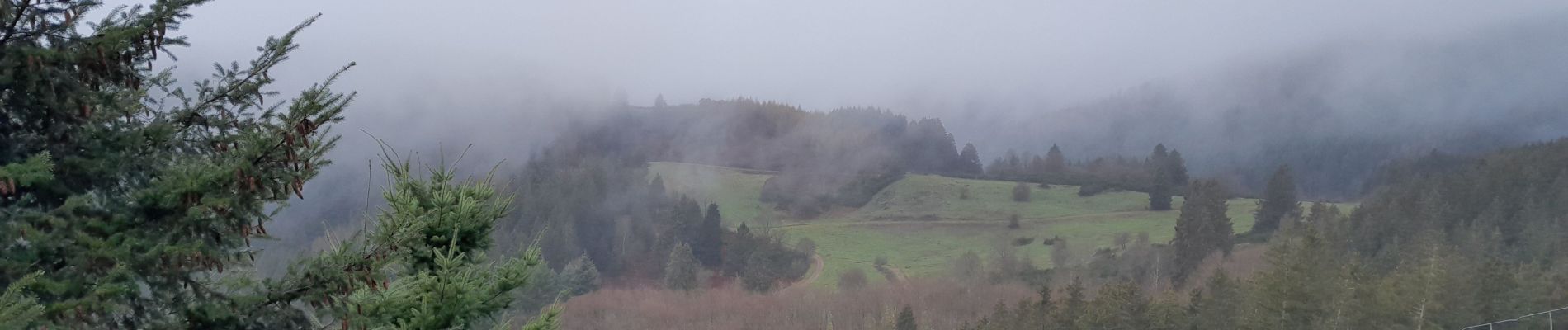 Tour Wandern Schirmeck - Schirmeck Colbery - Photo